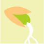 米老頭帶你了解麥苗的成長(cháng)